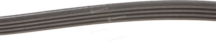 Gates 4PK773