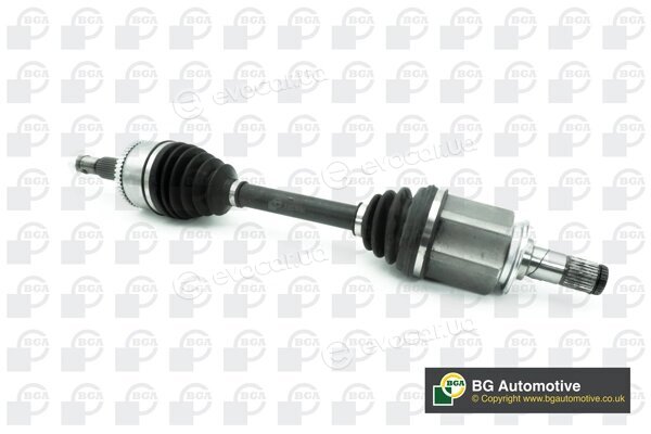 BGA DS4206L