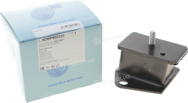 Blue Print ADBP800220