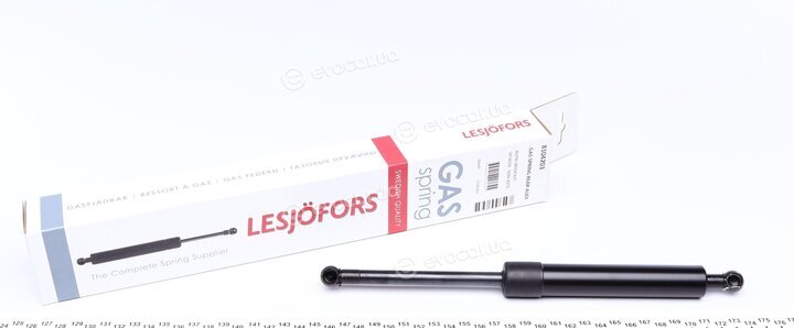 Lesjofors 8104203