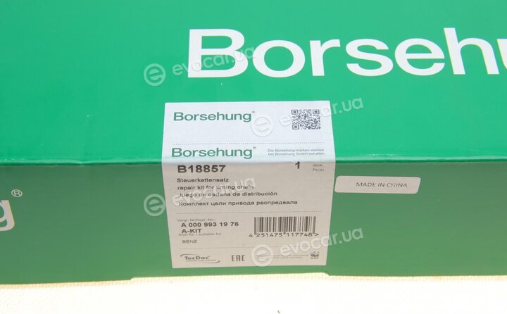 Borsehung B18857