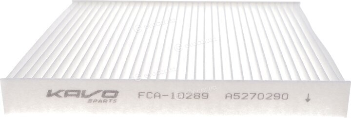 AMC FCA-10289