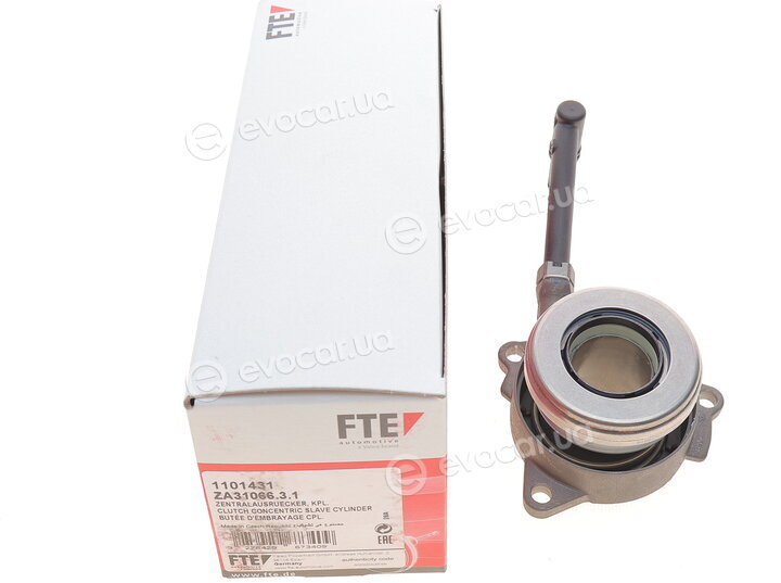 FTE 1101431