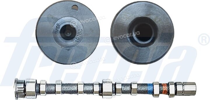 Freccia CM05-2308