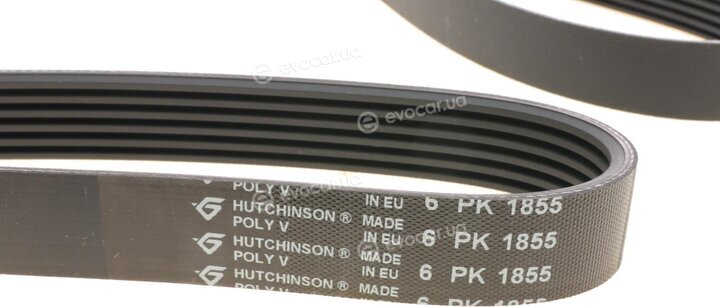 Hutchinson 1855 K 6