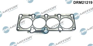 Dr. Motor DRM21219