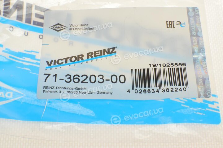 Victor Reinz 71-36203-00