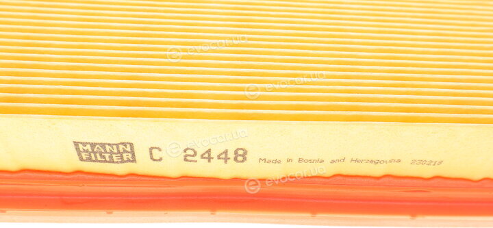 Mann C 2448