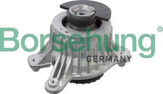Borsehung B12648