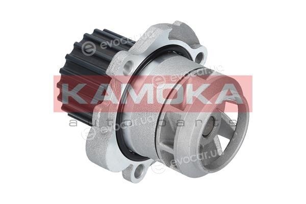 Kamoka T0251