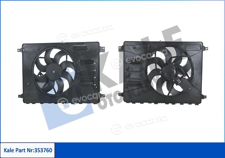 Kale 353760
