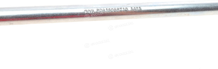 FAG 818 0597 10