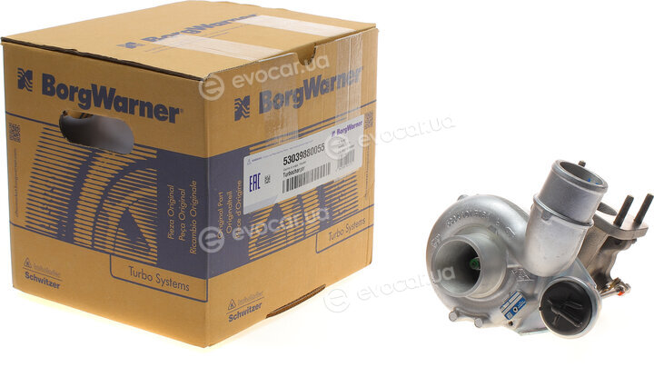 BorgWarner 53039880055