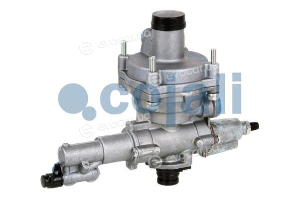 Cojali 2220469