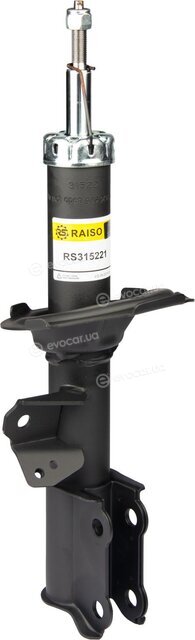 Raiso RS315221