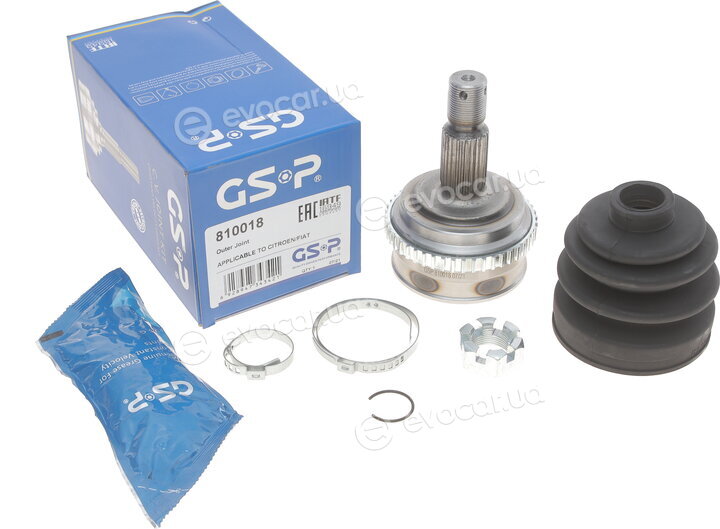 GSP 810018