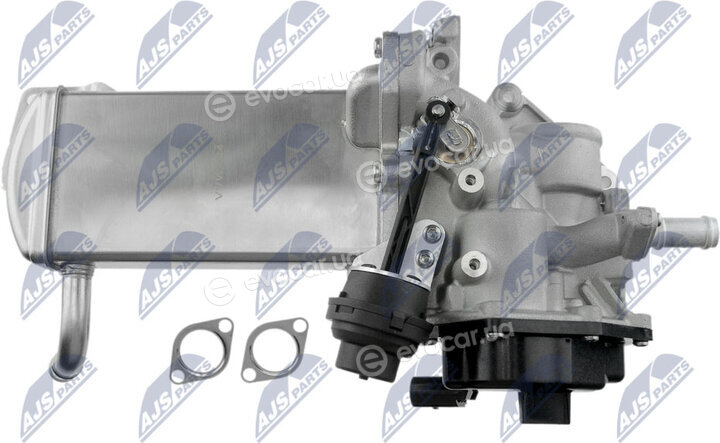NTY EGR-VW-024