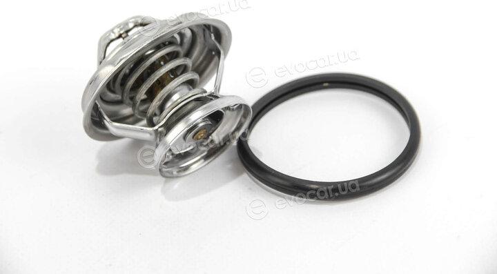 Mahle TX 29 85D