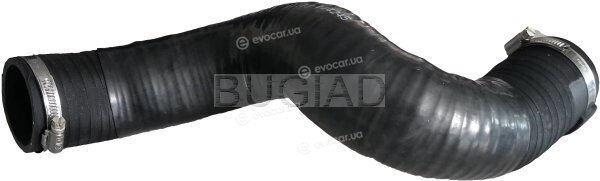 Bugiad 86646