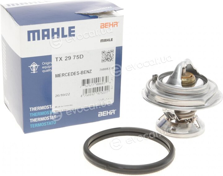 Mahle TX 29 75D