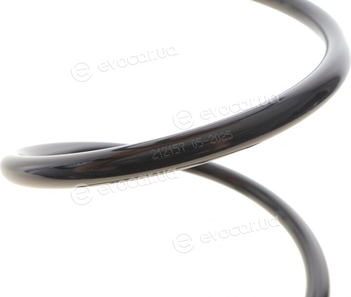 Solgy 212157