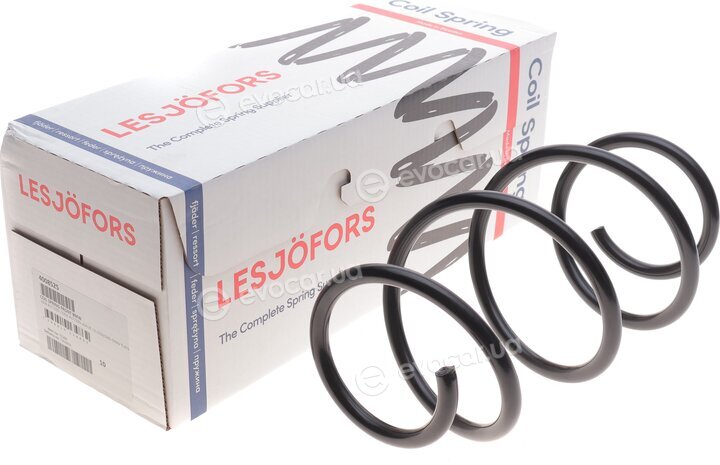Lesjofors 4008525