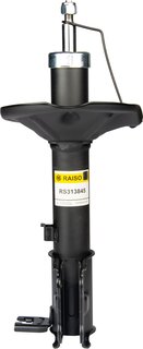 Raiso RS313845