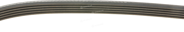 Gates 5PK880