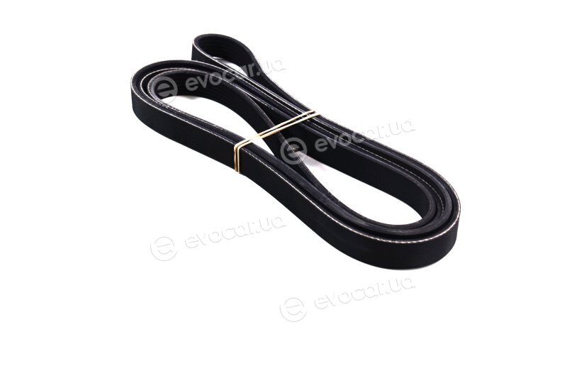 Dayco 6PK2585