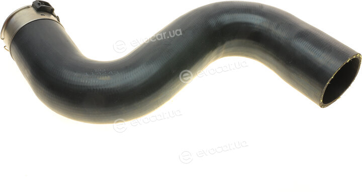 Solgy 114243