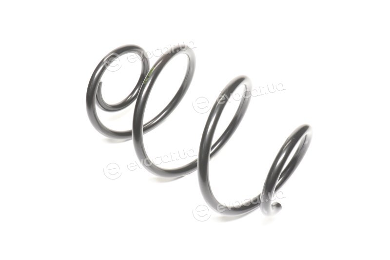 Lesjofors 4037278