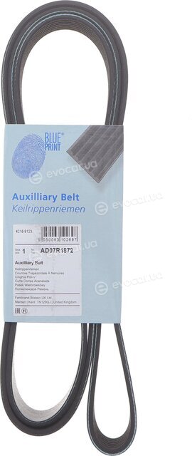 Blue Print AD07R1872