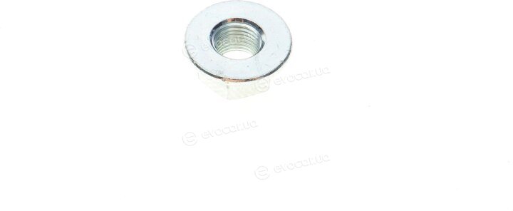 Solgy 203118