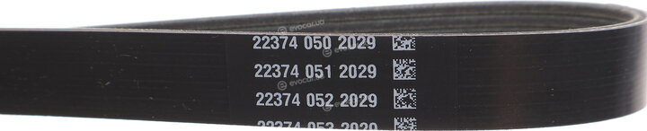 Dayco 6PK1100S