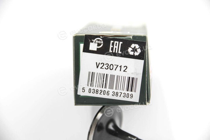 BGA V230712