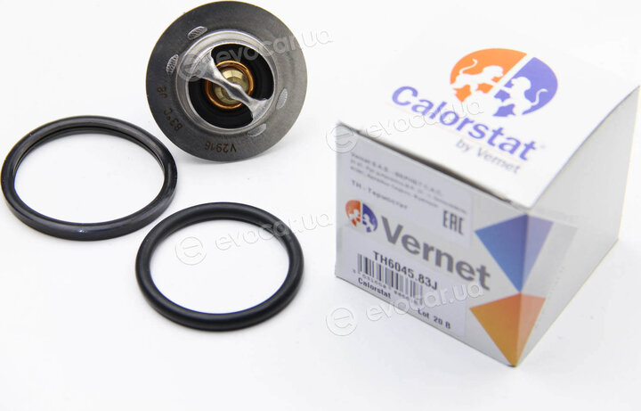 Vernet / Calorstat TH6045.83J
