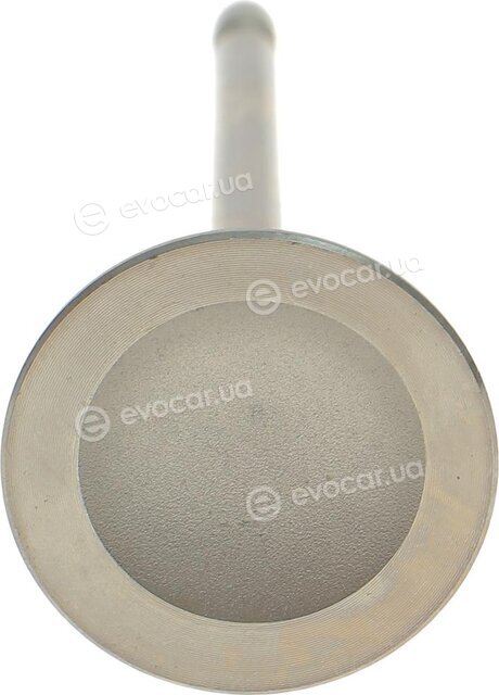 AMP PVWG082-S-0-N