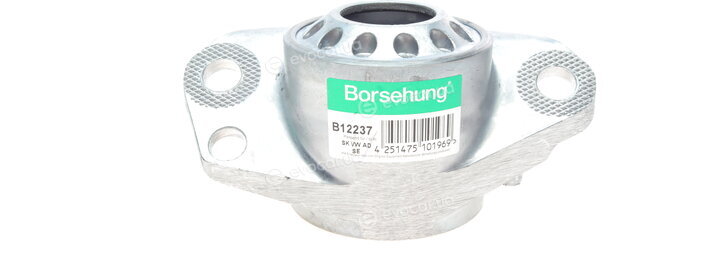 Borsehung B12237