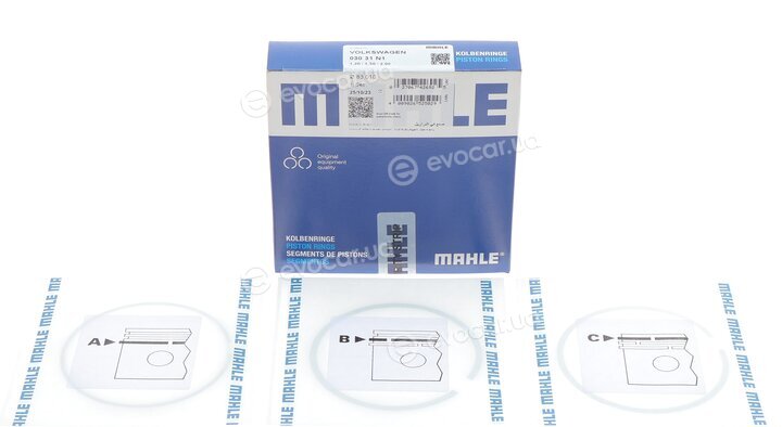 Mahle 030 31 N1