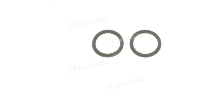 Solgy 112021