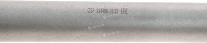 GSP 224496