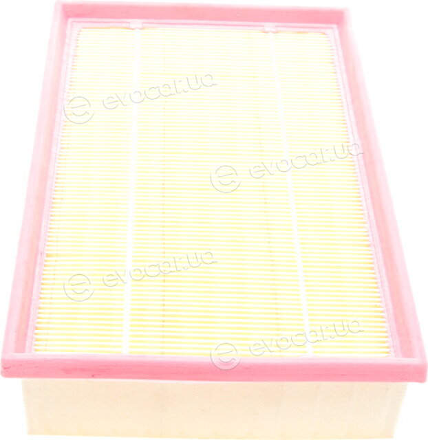 Solgy 103007