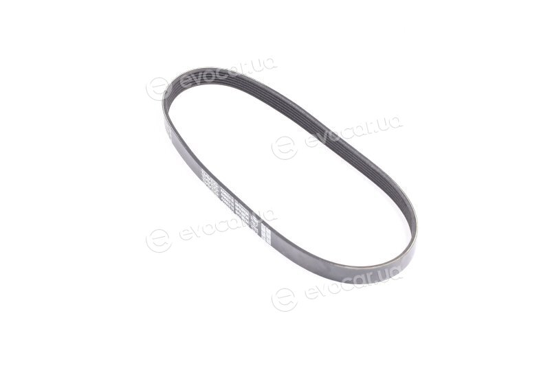 Dayco 6PK803K