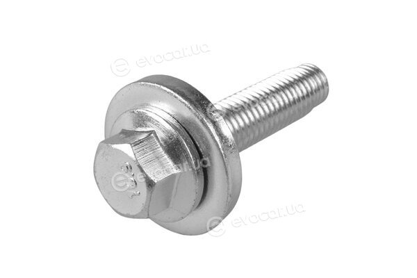 Tedgum TED50696