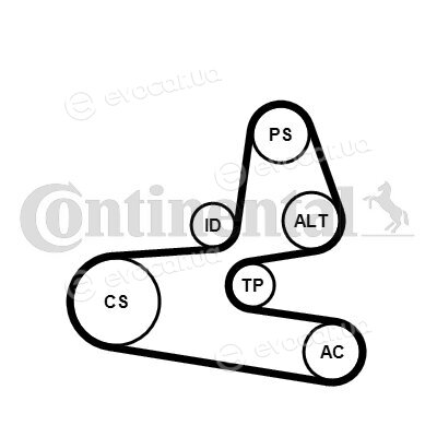 Continental 6PK1564K1