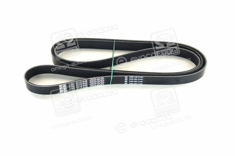 Dayco 6PK2170