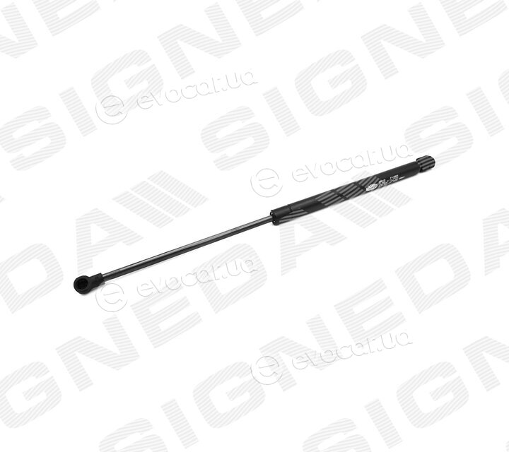 Signeda GS190419