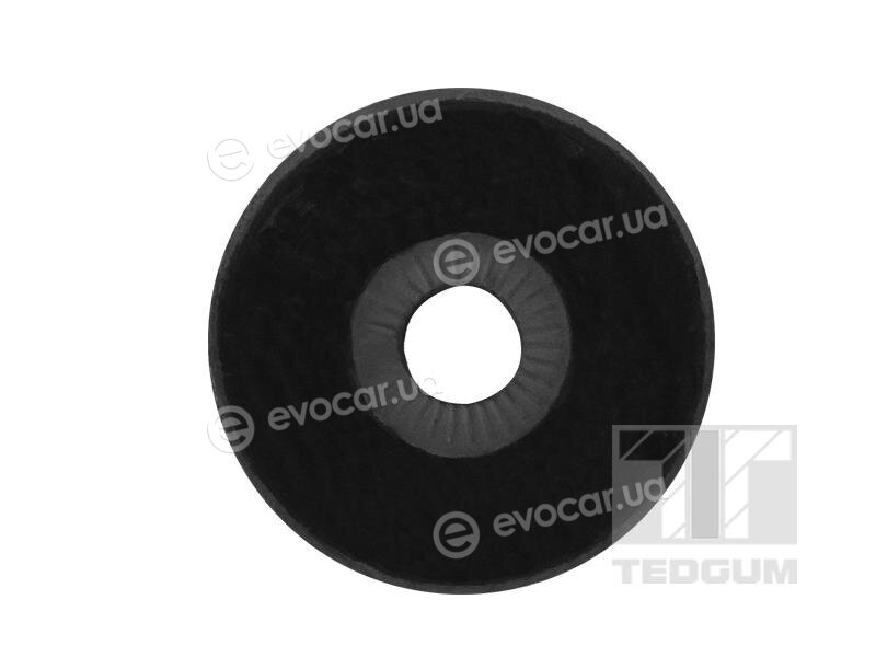 Tedgum 00728711