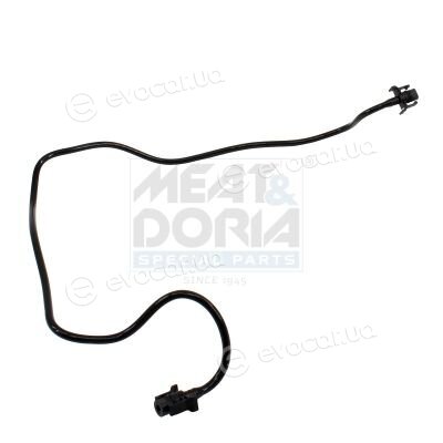 Meat & Doria 97298