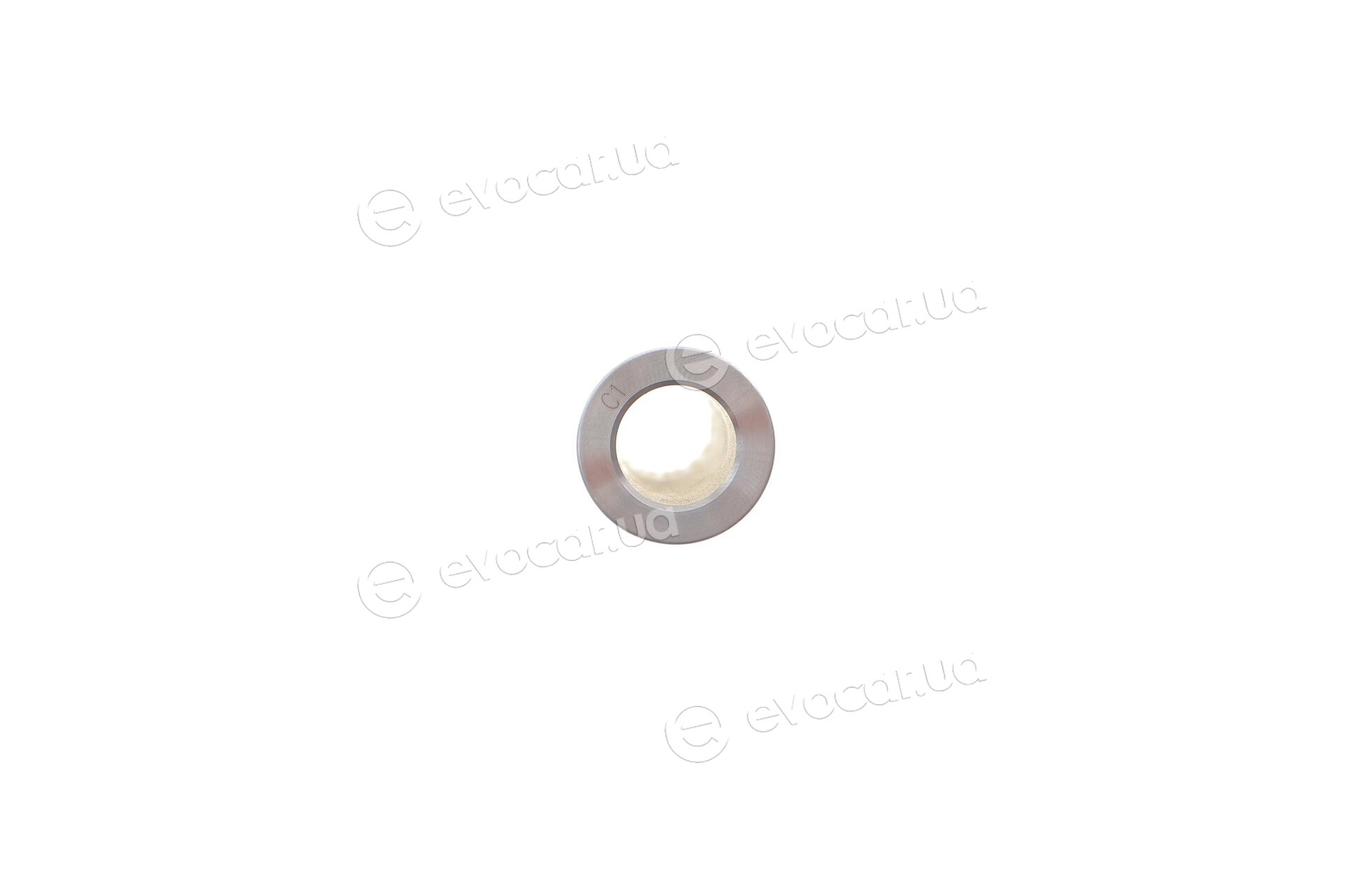 Mahle 033 01 01